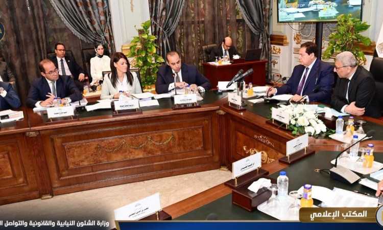 اللجنة الخاصة بمجلس النواب لدراسة برنامج الحكومة الجديدة