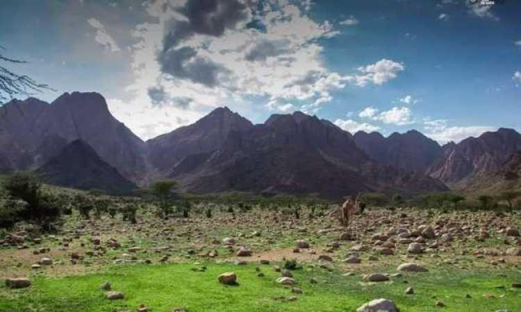جبل علبة