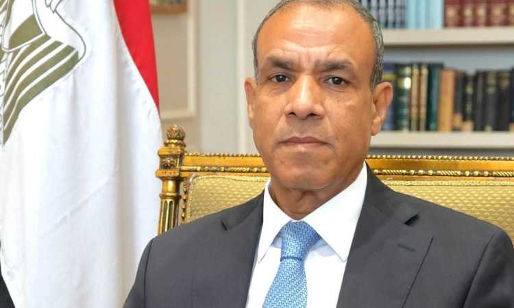 بدر عبدالعاطي وزير الخارجية