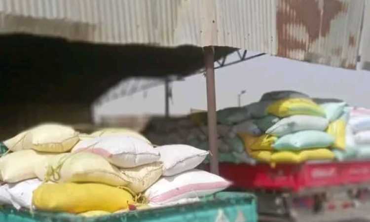توريد القمح