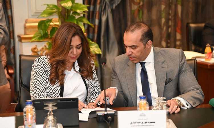 لقاء وزيرة التنمية المحلية