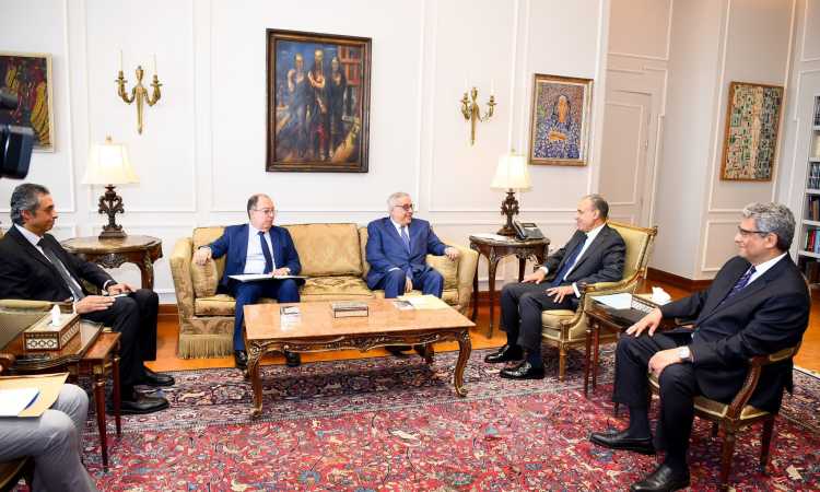 وزيرا خارجية مصر ولبنان