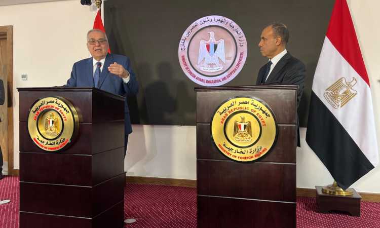 مؤتمر وزيرا خارجية مصر ولبنان