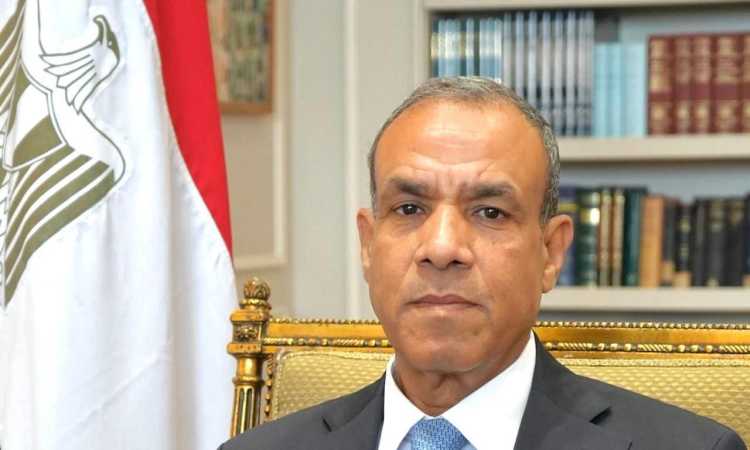 الدكتور بدر عبد العاطي وزير الخارجية والهجرة