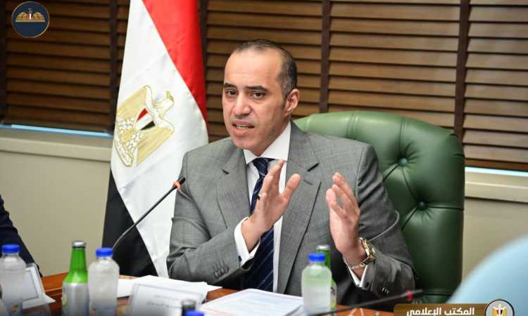 المستشار محمود فوزي