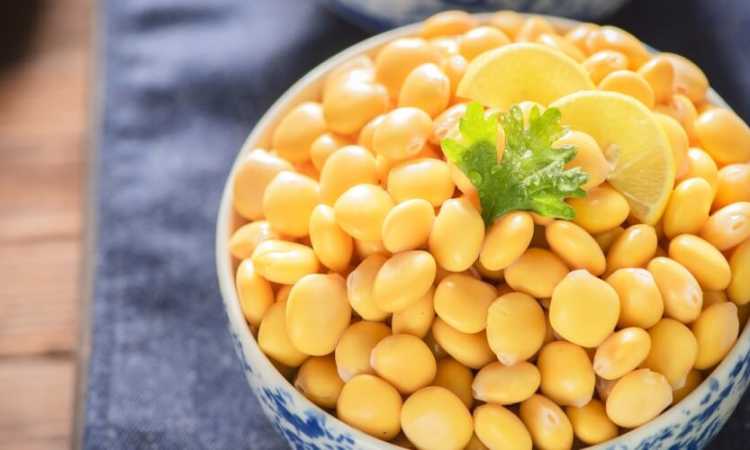 طريقة عمل الترمس في المنزل