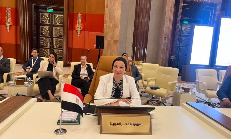 ياسمين فؤاد
