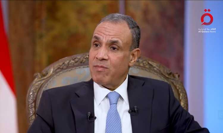 الدكتور بدر عبدالعاطي وزير الخارجية