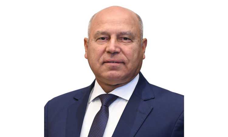 كامل الوزير