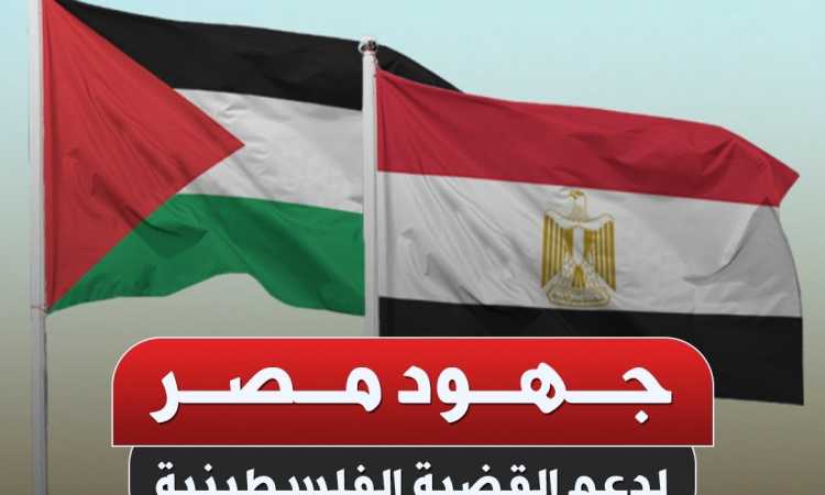 جهود مصر لدعم القضية الفلسطينية