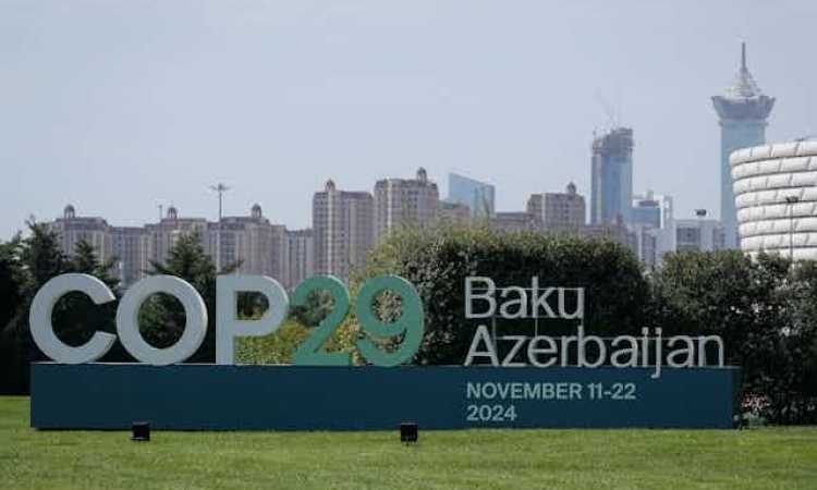 COP29