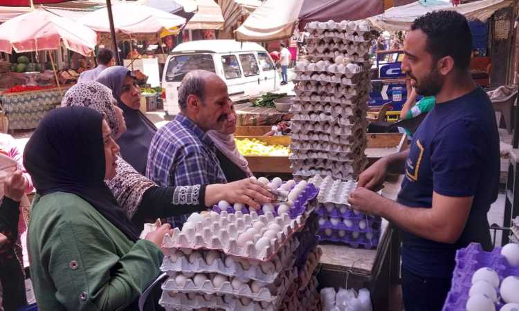 بيض المائدة