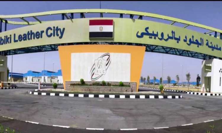 الروبيكي للجلود