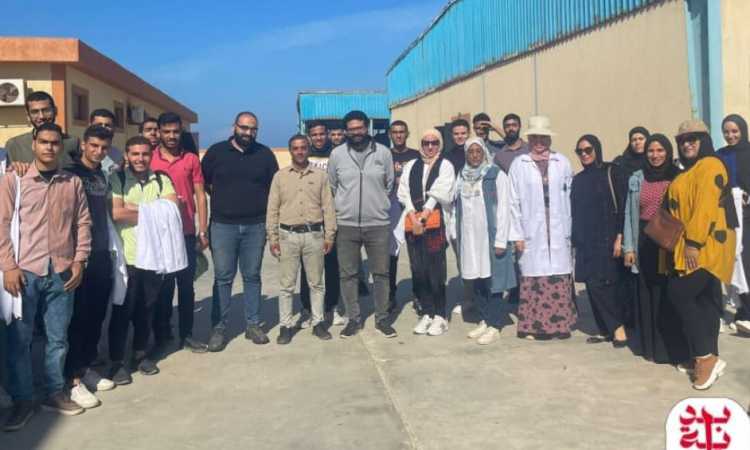 بداية جديدة