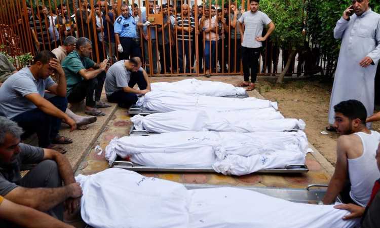 عدد من الشهداء في غزة