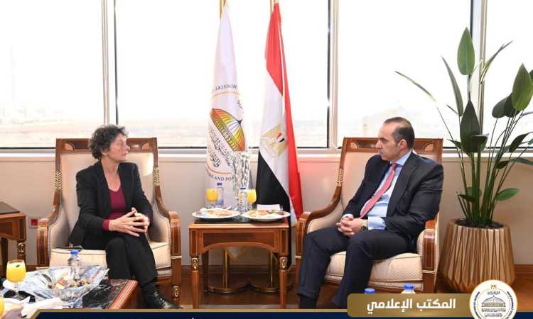 المستشار محمود فوزي