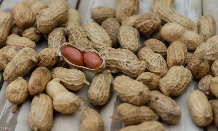 الفول السوداني