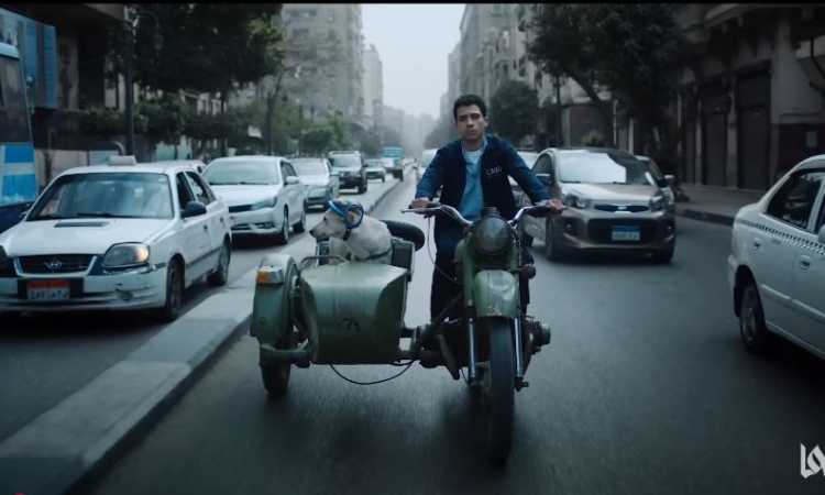 البحث عن منفذ لخروج السيد رامبو