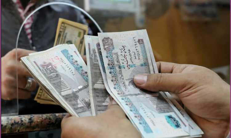 المعاش المبكر - أرشيفية