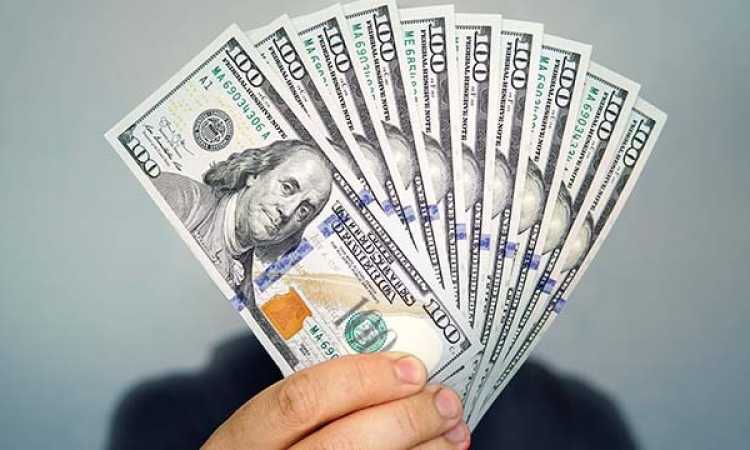 سعر الدولار اليوم