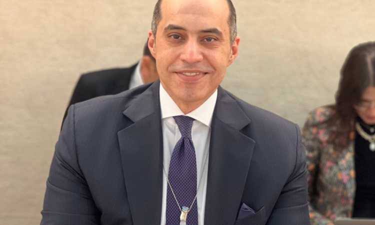 المستشار محمود فوزي