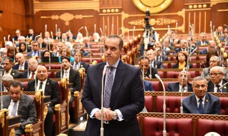 المستشار محمود فوزي