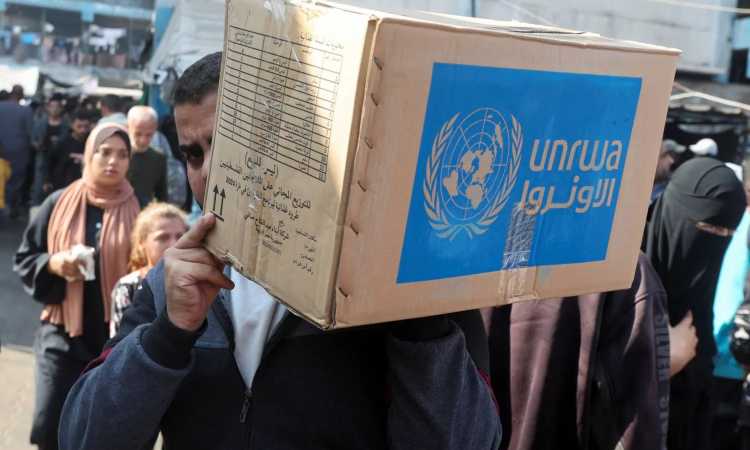 مؤسسات الأمم المتحدة في قطاع غزة