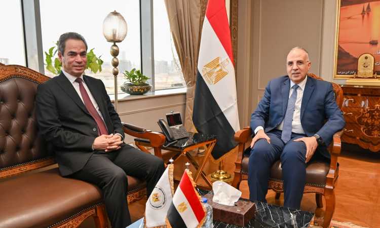 وزير الرى وأحمد المسلمانى