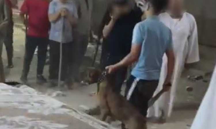 ممارسات بلطجة