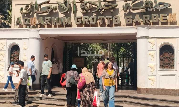 في آخر أيام العيد.. حديقة الأسماك بالقاهرة تستقبل العائلات