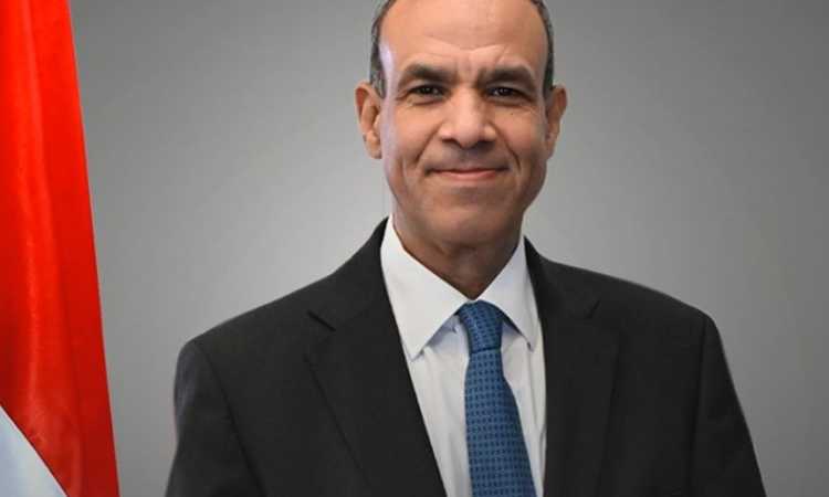 الدكتور بدر عبدالعاطي، وزير الخارجية والهجرة