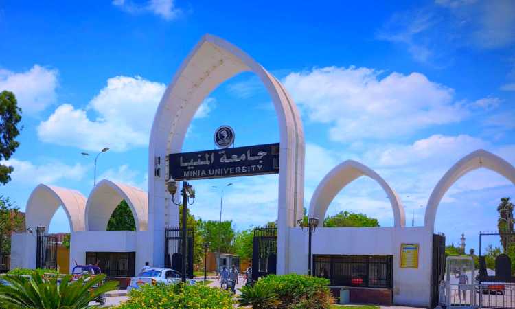 جامعة المنيا