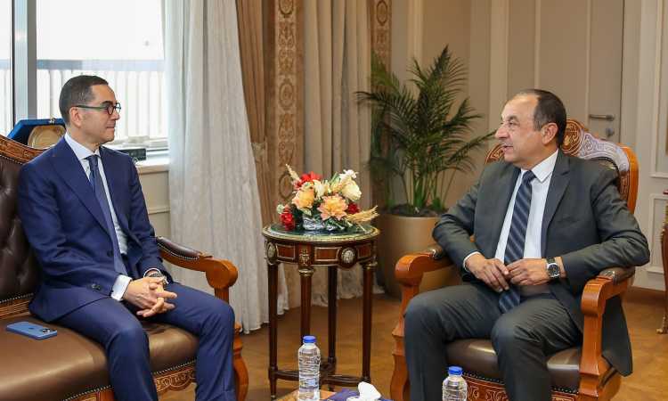 لقاء وزيرا قطاع الأعمال والاستثمار