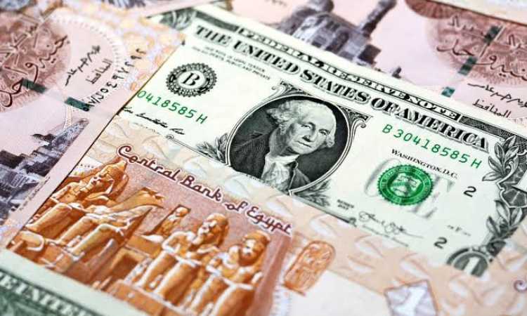 سعر الدولار والجنيه