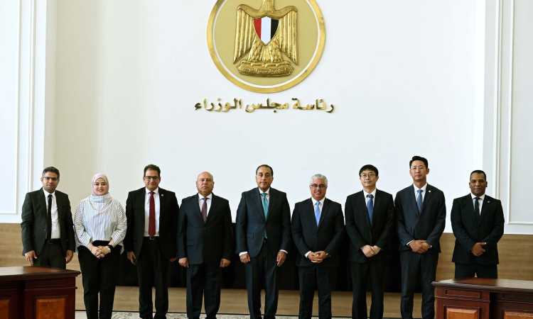 تيدا مصر