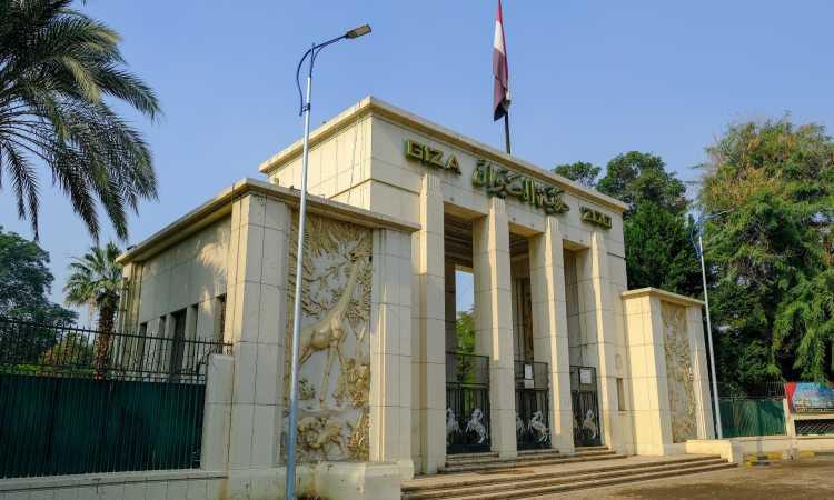 حديقة الحيوان بالجيزة