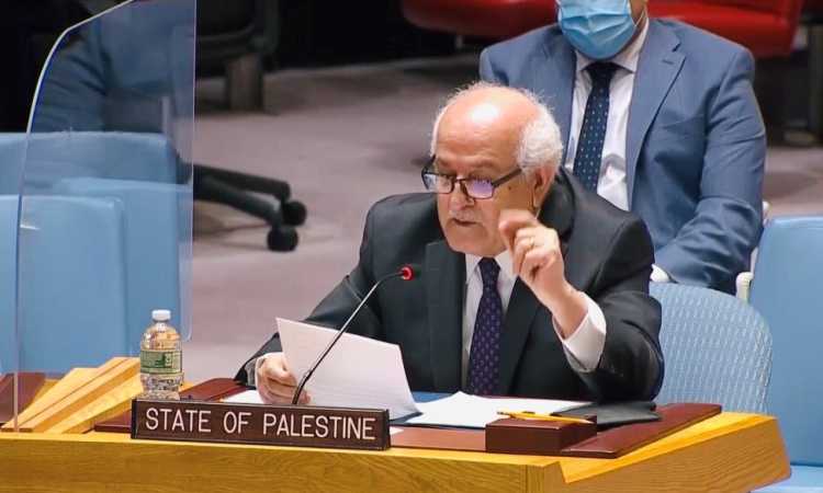 السفير رياض منصور