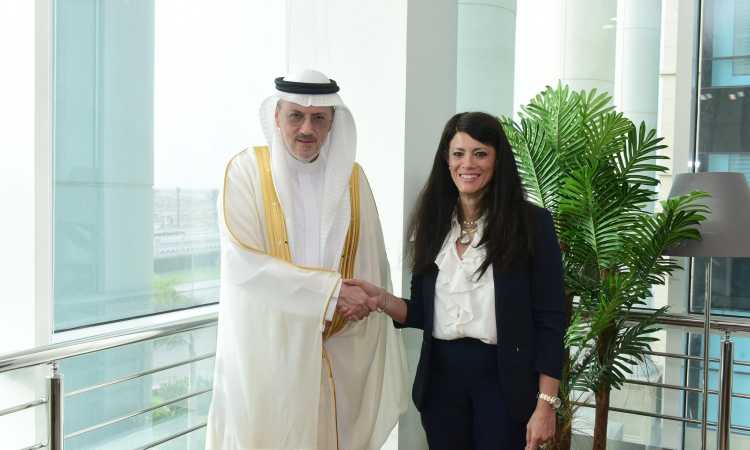 رانيا المشاط