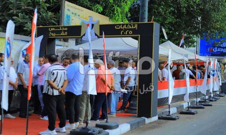 انتخابات مجلس الشيوخ 2025