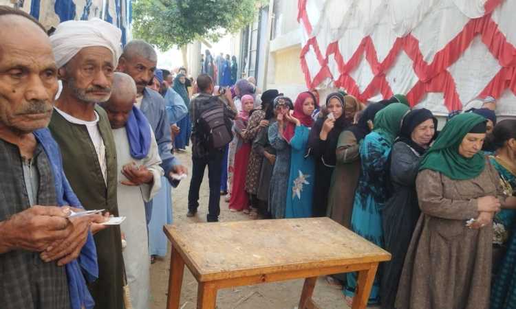 انتخابات الشيوخ بالمنيا