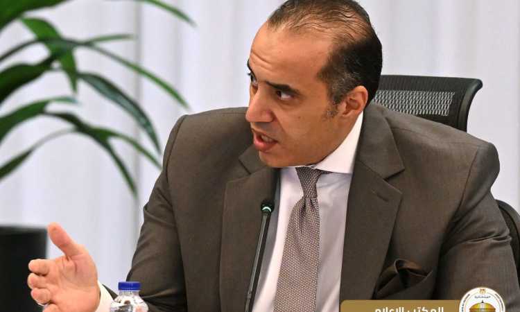 المستشار محمود فوزي