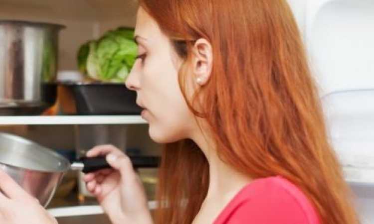 تبريد الثلاجة والفريزر
