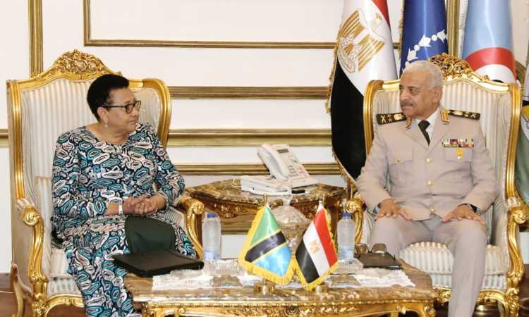 الفريق أول عبدالمجيد صقر يلتقى وزير الدفاع والخدمة الوطنية التنزانية