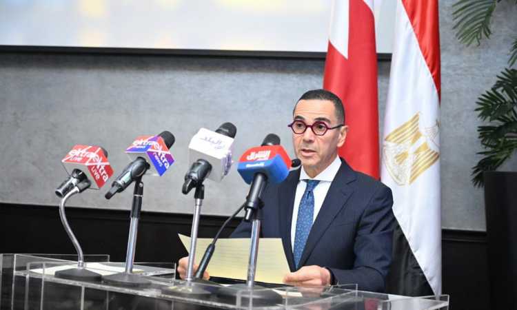 وزير الاستثمار