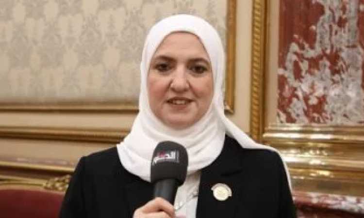 النائبة زينب فهيم