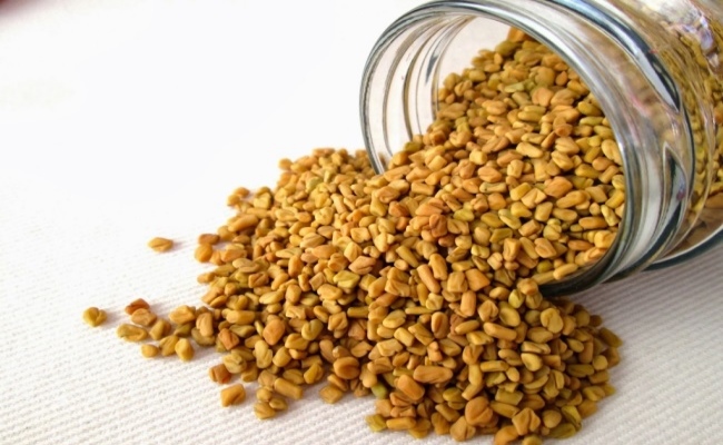 الحلبة
