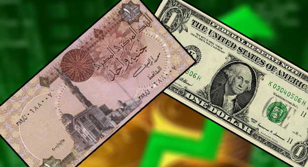 الجنية المصرى والدولار