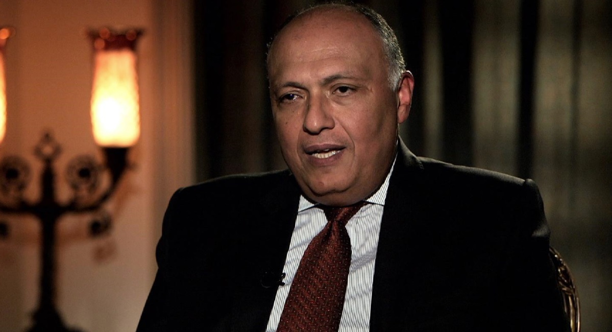 وزير الخارجية سامح شكرى