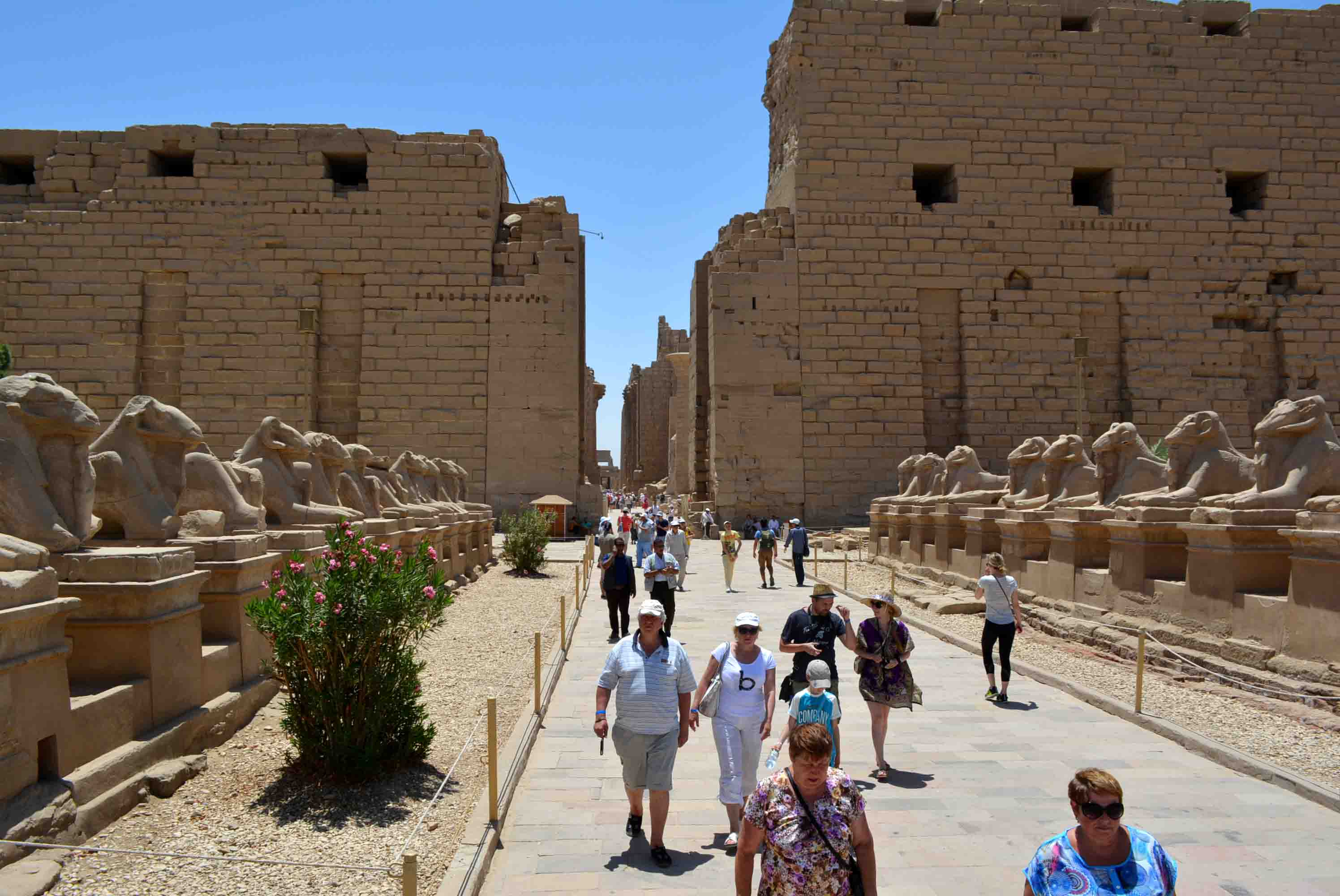 السياح فى مصر - صورة أرشيفية