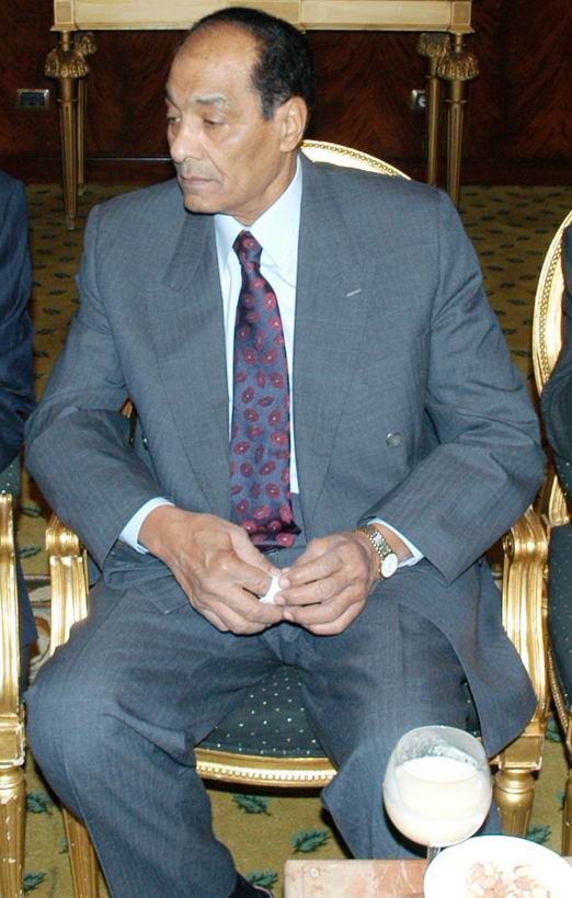 المشير محمد حسين طنطاوى